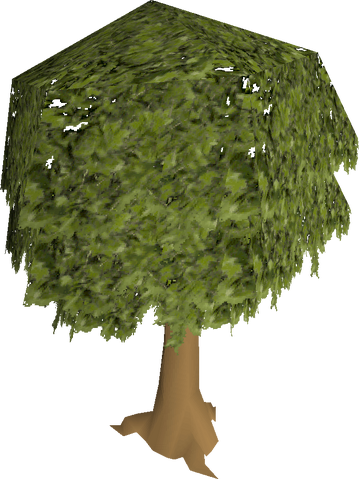 File:Oak tree.png