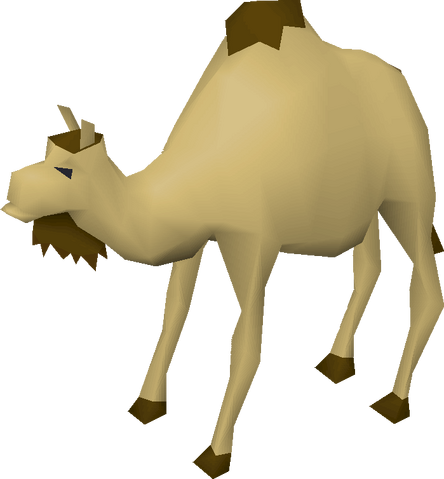 File:Cam the Camel.png