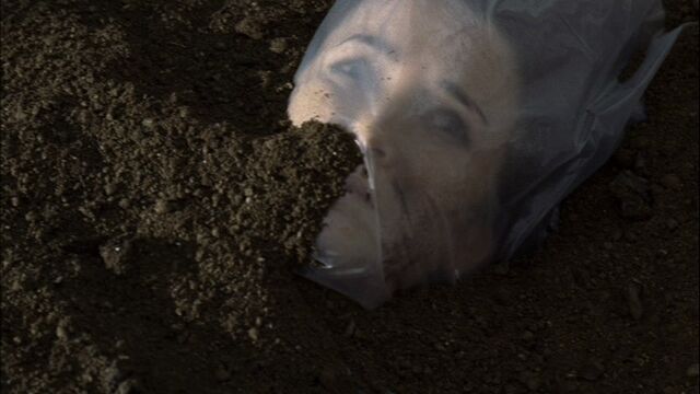 File:Renee-buried.jpg