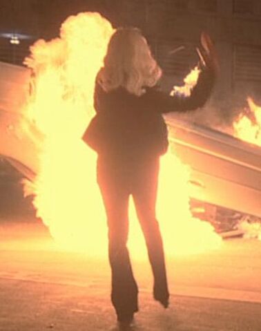 File:7x23 Heidi Pascoe.jpg