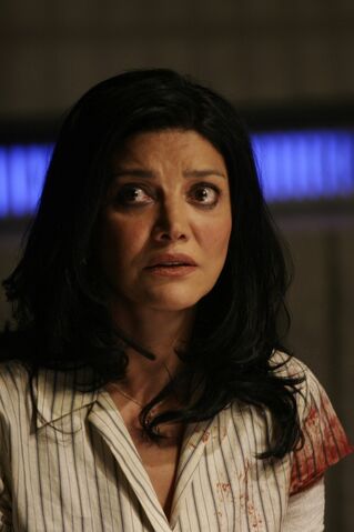 File:4x11c.jpg