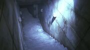 1x20 stairwell