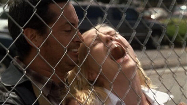 File:3x04d.jpg