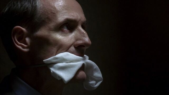 File:S7e8.jpg
