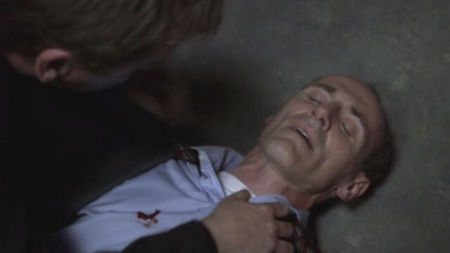 File:7x08.jpg