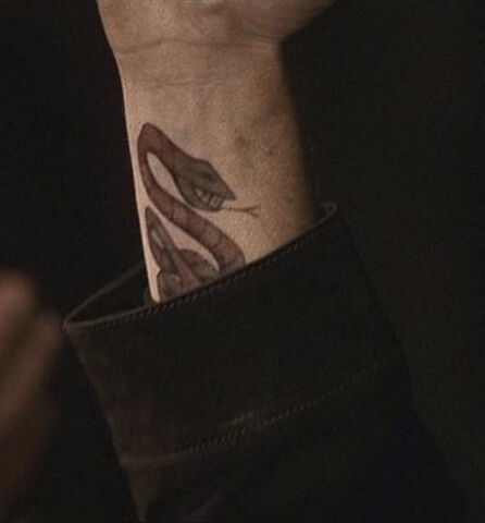 File:CoralSnakeTatoo2x17.jpg