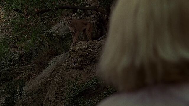 File:2x11 Kim cougar.jpg