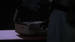 3x18 suicide capsules