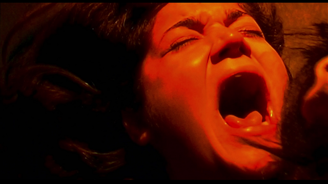 File:FemaleActivistAttacked.png