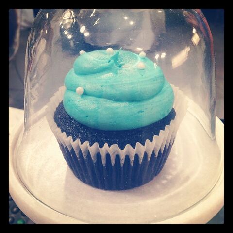 File:Max's Homemade Cupcakes Closeup.jpg