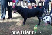 File:180px-Funny.jpg