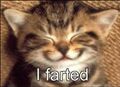 Thumbnail for version as of 00:29, February 3, 2014
