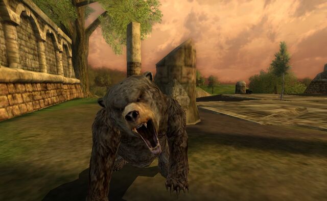 File:AethelBear5.jpg
