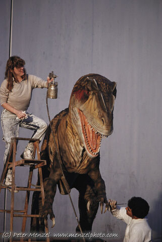 File:Allo's work.jpg