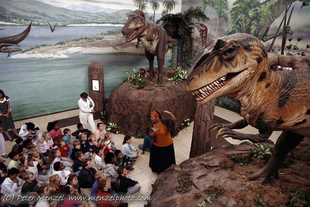 File:Allosaurus.jpg