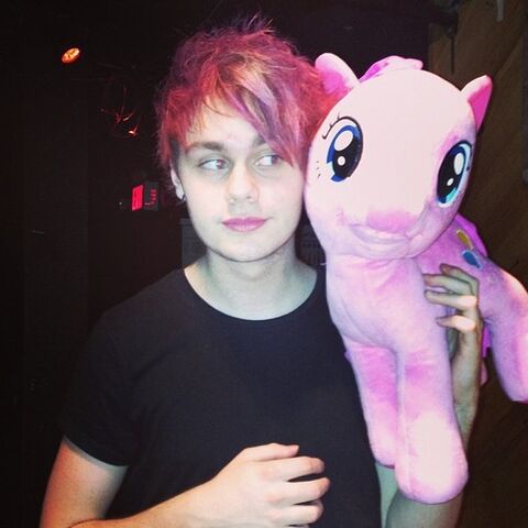 Archivo:Poney.jpg