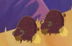 Mr. and Mrs. Bison