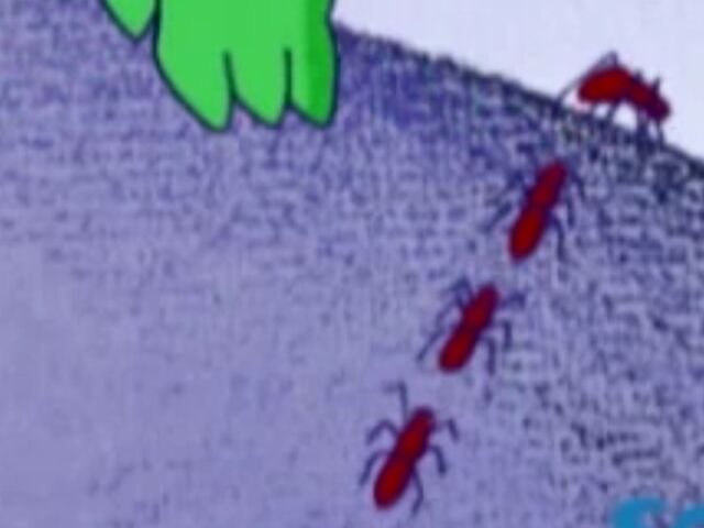 File:Ants.jpg