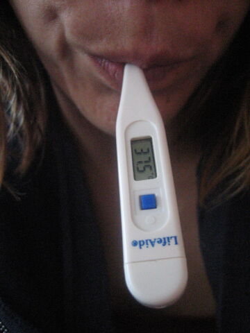 File:Oral Thermometer.jpg