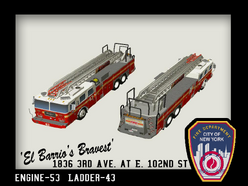 Ladder43