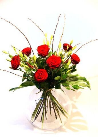 Datei:Rotes Rosenglück.jpg
