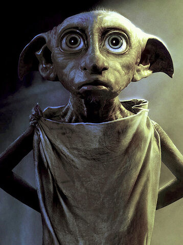 File:DOBBY2.jpg