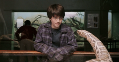 HarryParseltongue