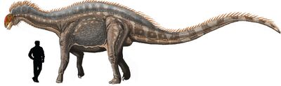 Dicraeosaurus