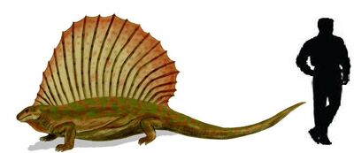 Edaphosaurus.jpg
