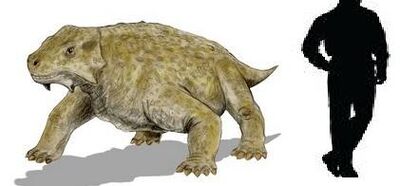 Bradysaurus.jpg