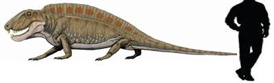 Sphenacodon