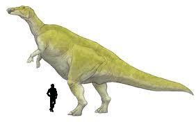 Huaxiaosaurus1