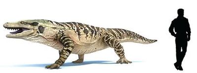 Megalania prisca.jpg