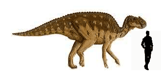 Aralosaurus.gif