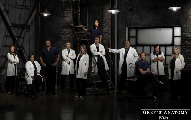 Fichier:Wikia-Visualization-Main,frgreysanatomy892.png