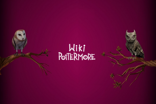 Fichier:Wikia-Visualization-Main,frpottermoreblabla.png