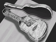 Packed Guitar