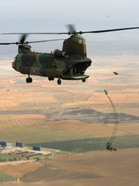 Saltochinook.jpg