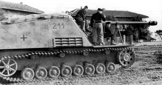 Файл:Nashorn.jpg