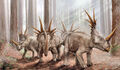Thumbnail for version as of 20:26, July 7, 2013