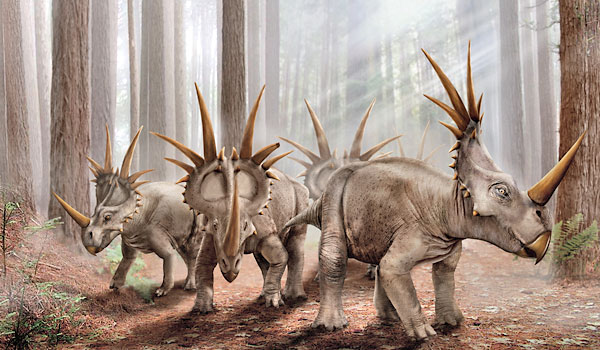 File:StyracoIRL.jpg
