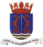 Ficheiro:BrazãoZMA.jpg