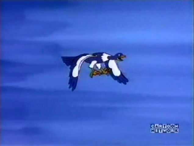 File:Af vulture wed.jpg