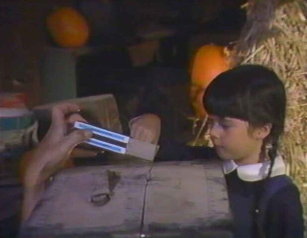 File:Halloween-With-the-New-Addams-Family-addams-family-6596210-822-638.jpg