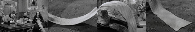 File:Af crimp shawl breadwinner.jpg