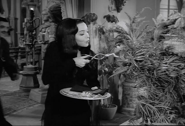 File:Af cleo visits.jpg