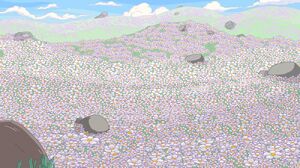 1000px-Marshmallowfield