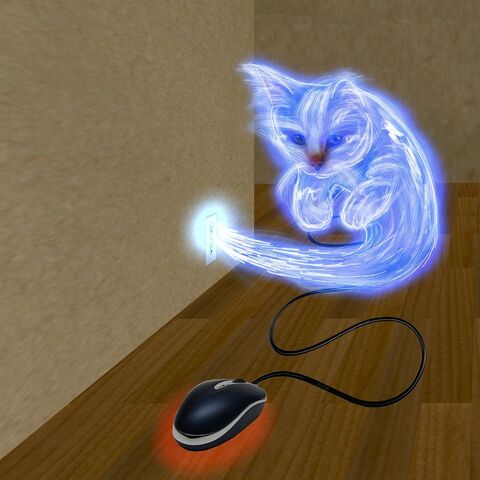 File:Lightning cat by animefreak40k-d2z8fur.jpg