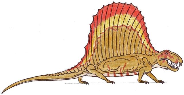 File:Dimetrodon Adult.jpg