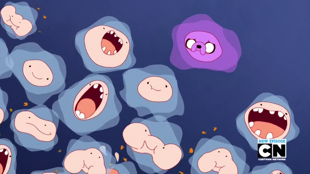 File:S6 E7 bacteria.png